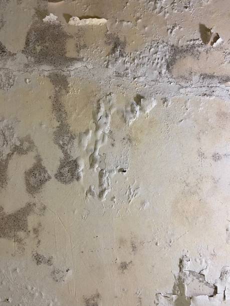 Best Water Damage Restoration  in Weatherford, TX