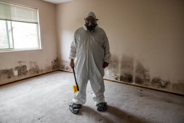 Reliable Weatherford, TX Mold Removal Solutions