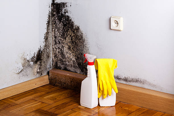 Water Damage Restoration in Weatherford, TX